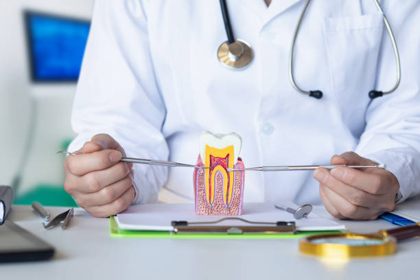 Best Chipped Tooth Repair Near Me  in Ama, LA